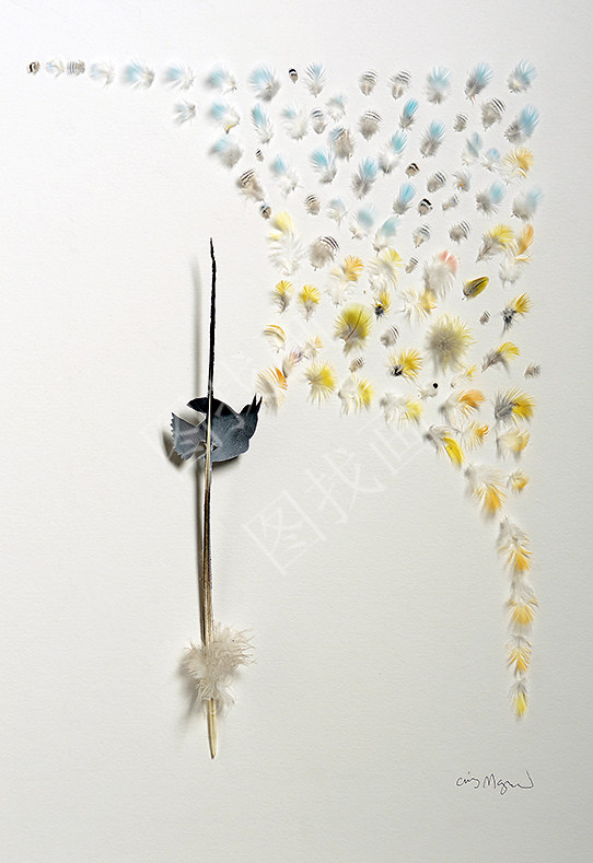 030HTK (55)35X50cm